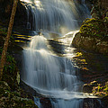 Backlit Buttermilk